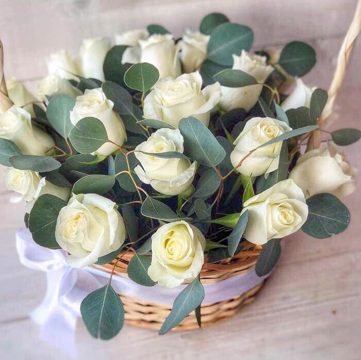 Радость дня от 7 960 руб.